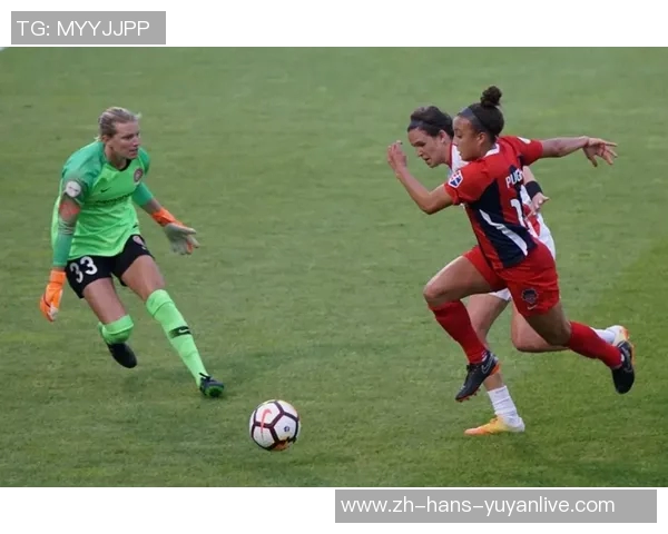 足球比赛规则概述与关键要素解析助你轻松理解比赛流程