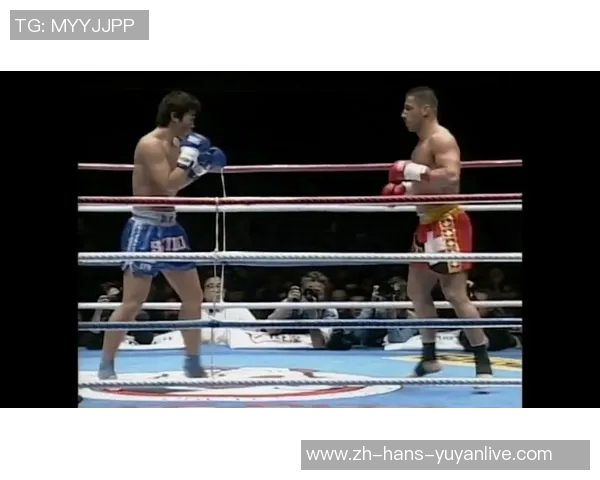 安迪哈格与彼得阿兹的巅峰对决谁将赢得荣耀与胜利的桂冠 安迪哈格与彼得阿兹的巅峰对决谁将赢得荣耀与胜利的桂冠